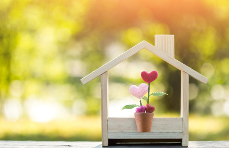 Acheter une maison : une affaire d’émotions autant que de raison ?